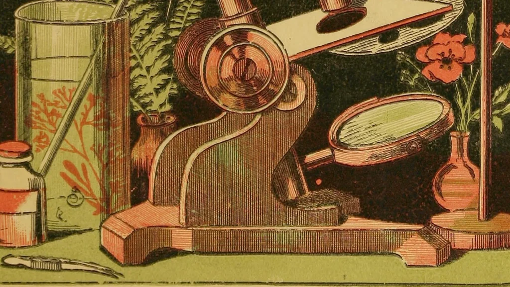 An illustration from Common objects of the microscope [electronic resource], 1900, leaf 1
