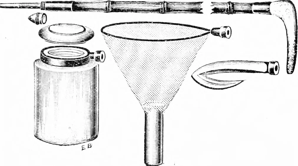 An illustration from Common objects of the microscope [electronic resource], 1900, leaf 169
