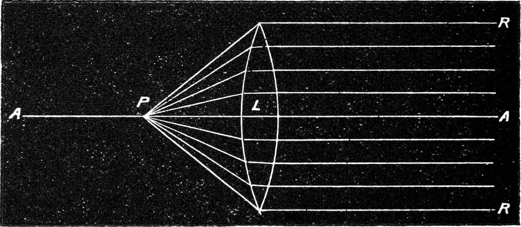 An illustration from Common objects of the microscope [electronic resource], 1900, leaf 28