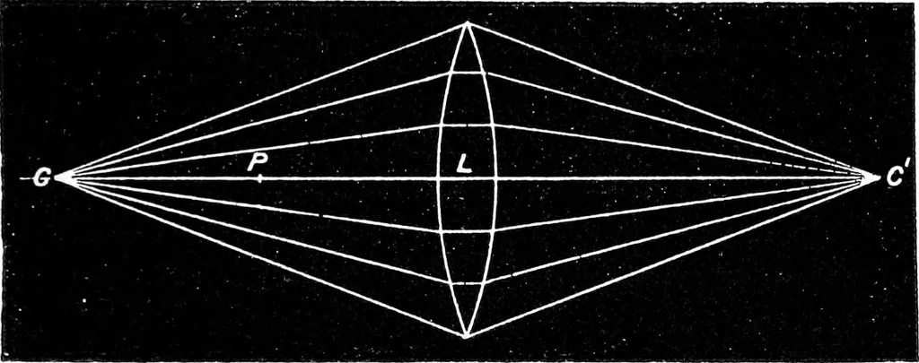 An illustration from Common objects of the microscope [electronic resource], 1900, leaf 29