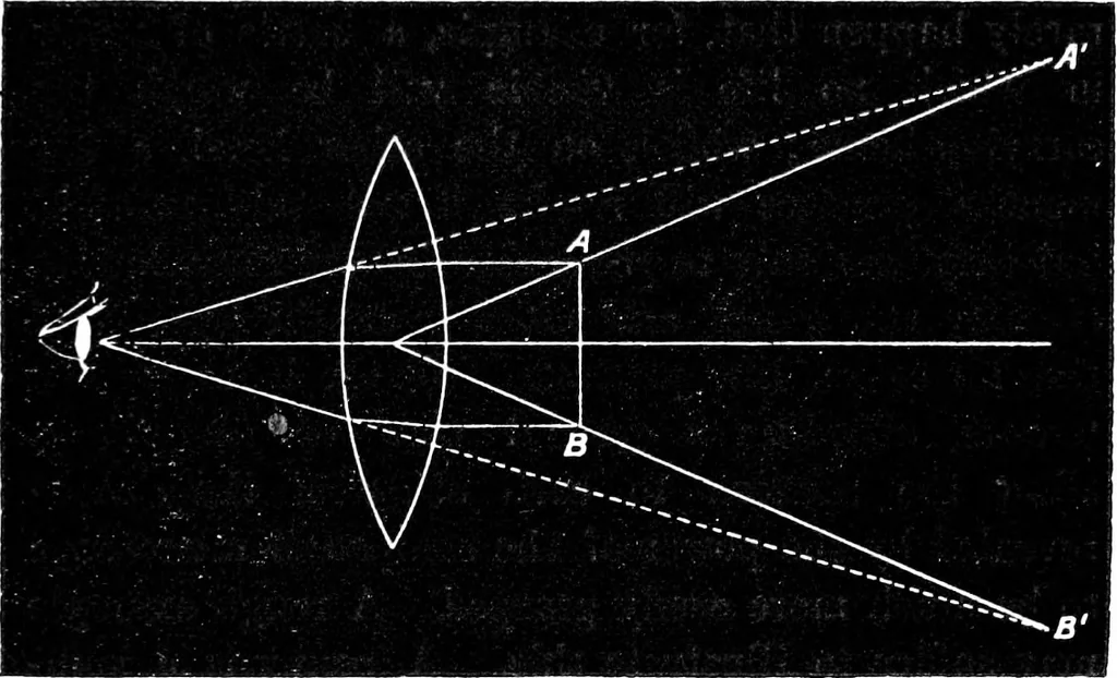 An illustration from Common objects of the microscope [electronic resource], 1900, leaf 31