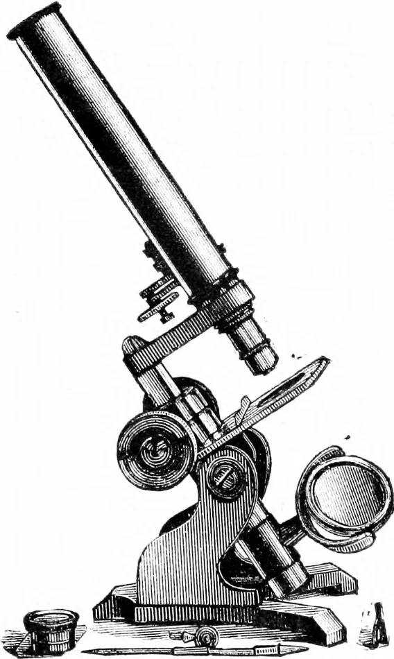 An illustration from Common objects of the microscope [electronic resource], 1900, leaf 34