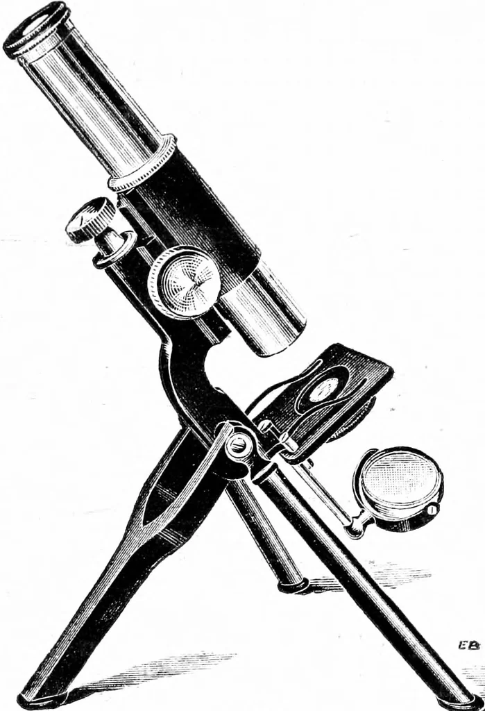 An illustration from Common objects of the microscope [electronic resource], 1900, leaf 35