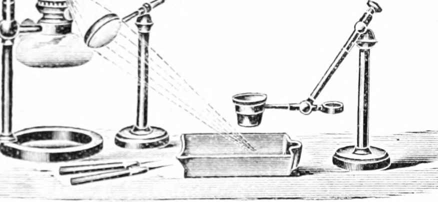 An illustration from Common objects of the microscope [electronic resource], 1900, leaf 40