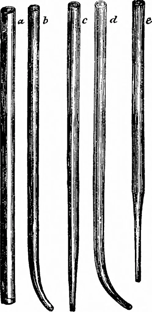 An illustration from Common objects of the microscope [electronic resource], 1900, leaf 43