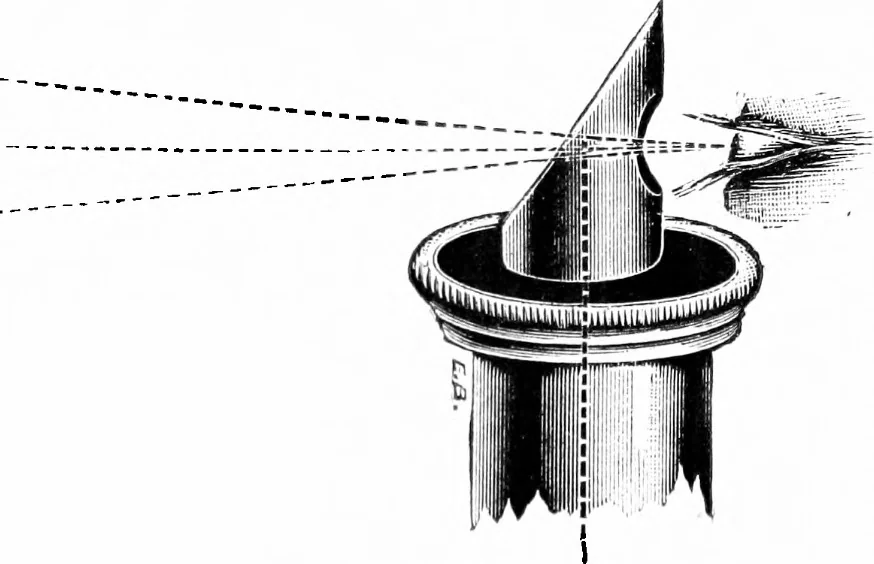 An illustration from Common objects of the microscope [electronic resource], 1900, leaf 44