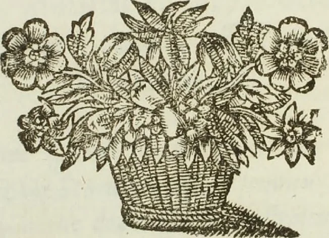An illustration from Abbregé du procez... entre Maistre Itier François Chastelain... Chanoine de l'eglise de Paris, appelant comme d'abus contre les Doyen, chanoines et Chapitre de la dite Eglise, 1652, leaf 106