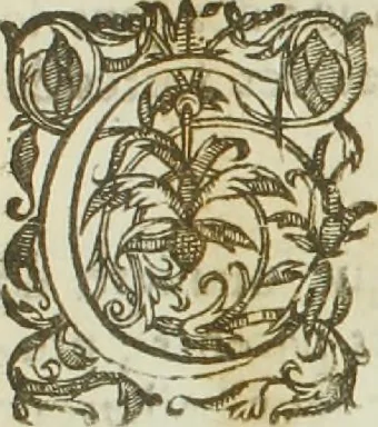 An illustration from Abbregé du procez... entre Maistre Itier François Chastelain... Chanoine de l'eglise de Paris, appelant comme d'abus contre les Doyen, chanoines et Chapitre de la dite Eglise, 1652, leaf 88