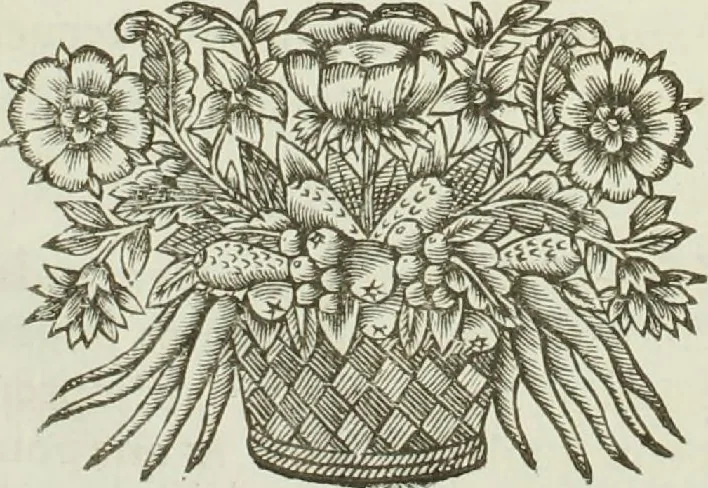 An illustration from Abbregé du procez... entre Maistre Itier François Chastelain... Chanoine de l'eglise de Paris, appelant comme d'abus contre les Doyen, chanoines et Chapitre de la dite Eglise, 1652, leaf 94