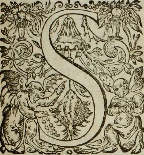 An illustration from Premier factum, ou defenses de messire Philippes de La Mothe-Houdancourt duc de Cardonne, & mareschal de France, cy-devant vice-roy et capitaine general en Catalogne. Avec plusieurs requestes, arrests, & autres actes sur ce intervenus, tant au conseil, qu'ailleurs, 1649, leaf 2
