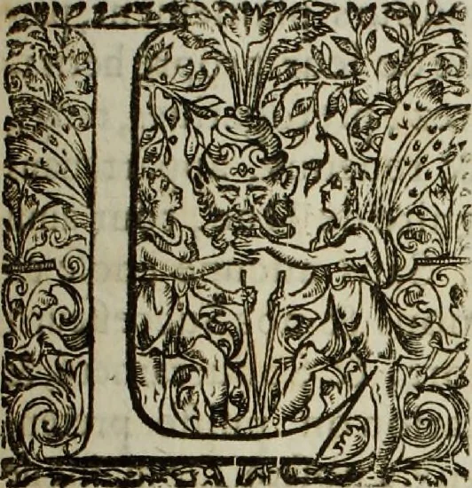 An illustration from Premier factum, ou defenses de messire Philippes de La Mothe-Houdancourt duc de Cardonne, & mareschal de France, cy-devant vice-roy et capitaine general en Catalogne. Avec plusieurs requestes, arrests, & autres actes sur ce intervenus, tant au conseil, qu'ailleurs, 1649, leaf 36