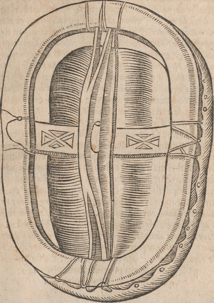 An illustration from Lapponia, id est, regionis Lapponum... descriptio, 1673, leaf 160