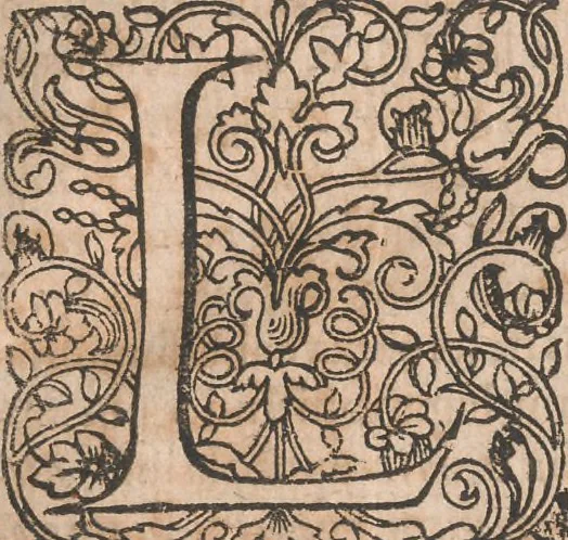 An illustration from Lapponia, id est, regionis Lapponum... descriptio, 1673, leaf 24