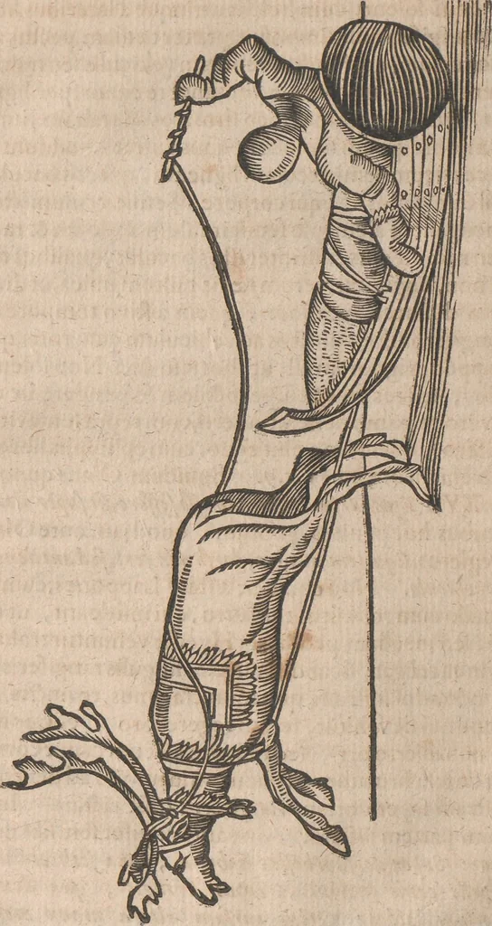 An illustration from Lapponia, id est, regionis Lapponum... descriptio, 1673, leaf 293