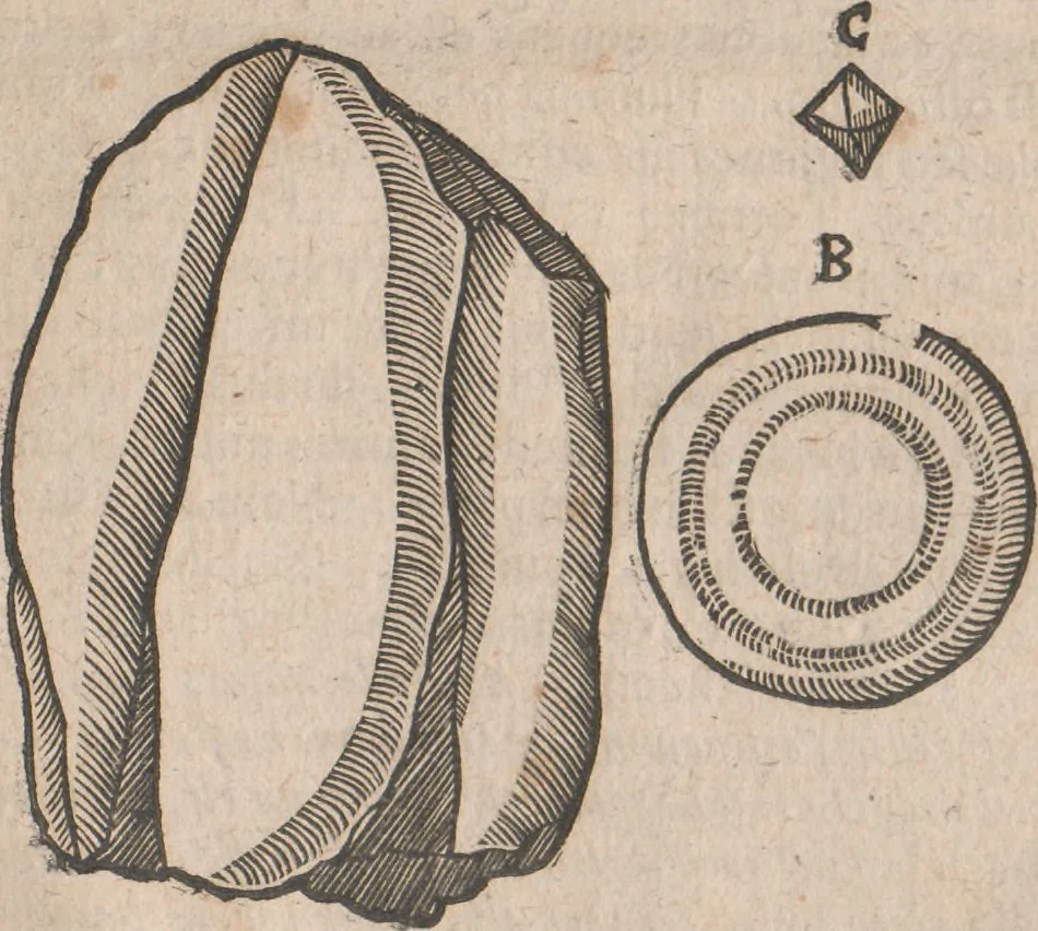 An illustration from Lapponia, id est, regionis Lapponum... descriptio, 1673, leaf 394
