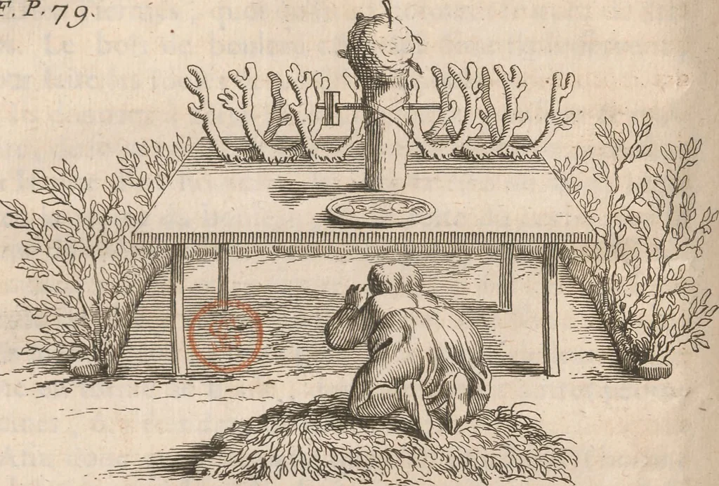 An illustration from Histoire de la Laponie : sa description..., 1678, leaf 109