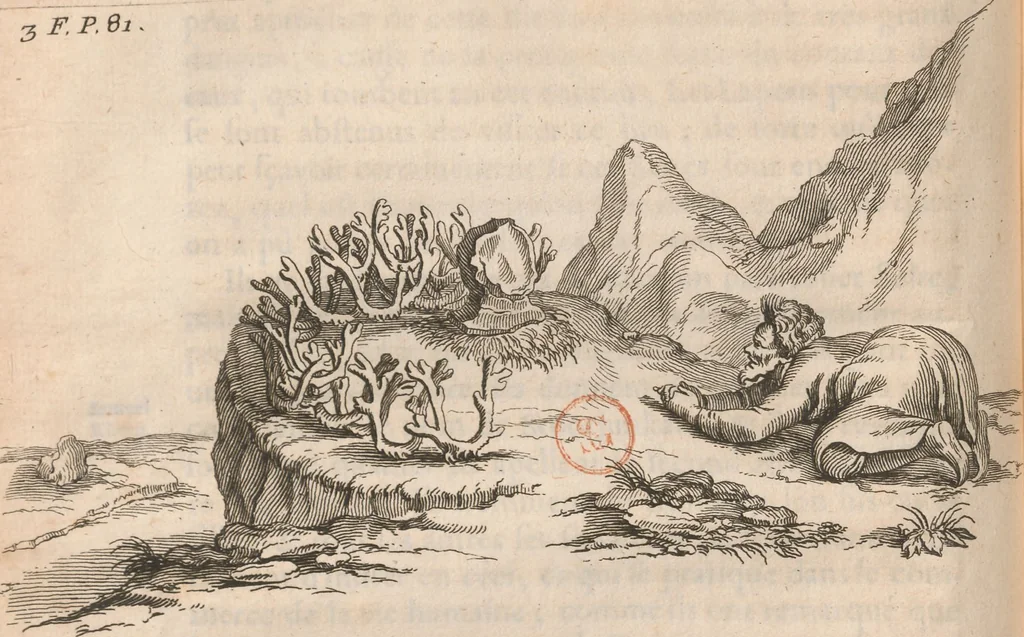 An illustration from Histoire de la Laponie : sa description..., 1678, leaf 113