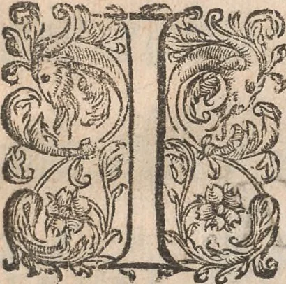 An illustration from Histoire de la Laponie : sa description..., 1678, leaf 19