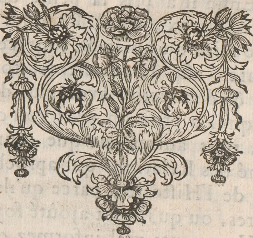 An illustration from Histoire de la Laponie : sa description..., 1678, leaf 21