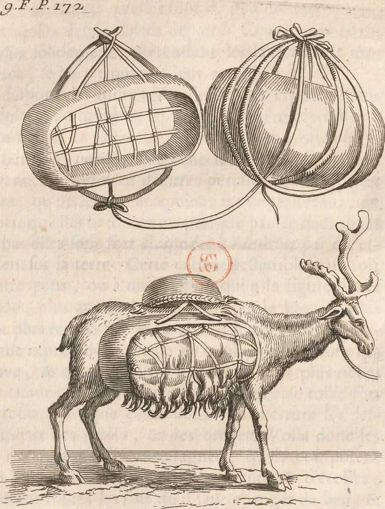 An illustration from Histoire de la Laponie : sa description..., 1678, leaf 216