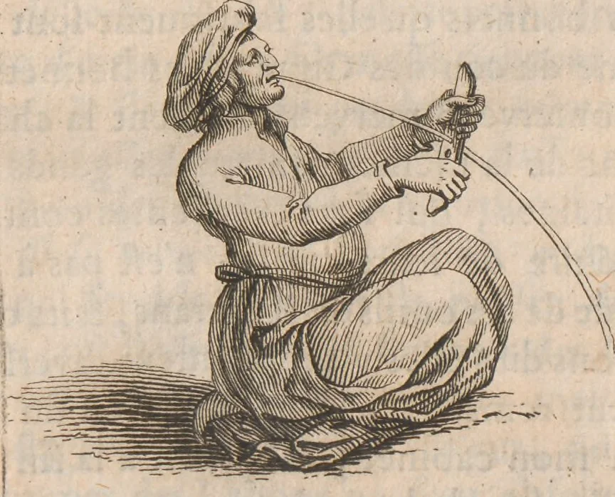 An illustration from Histoire de la Laponie : sa description..., 1678, leaf 293