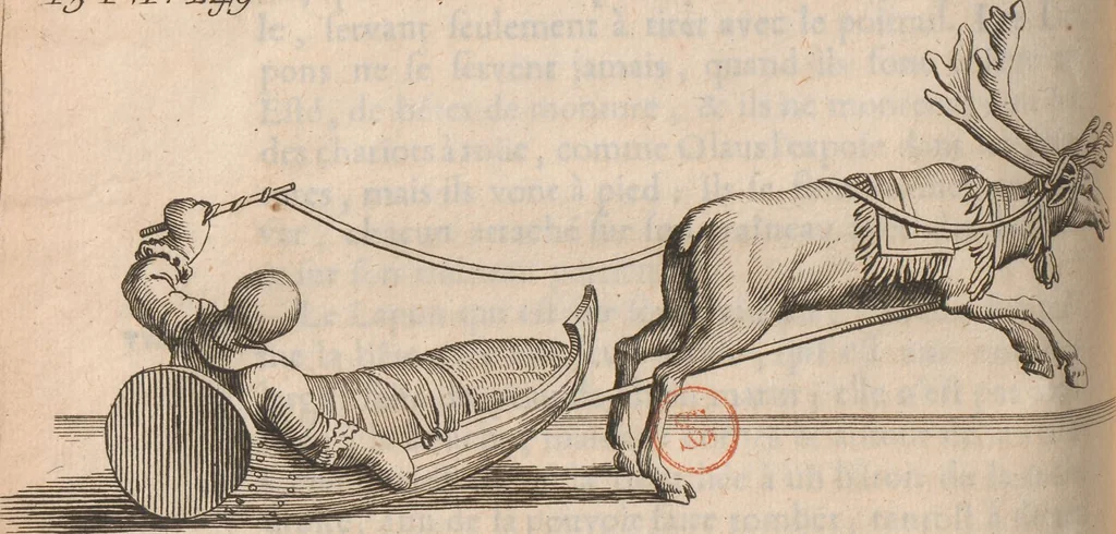 An illustration from Histoire de la Laponie : sa description..., 1678, leaf 303