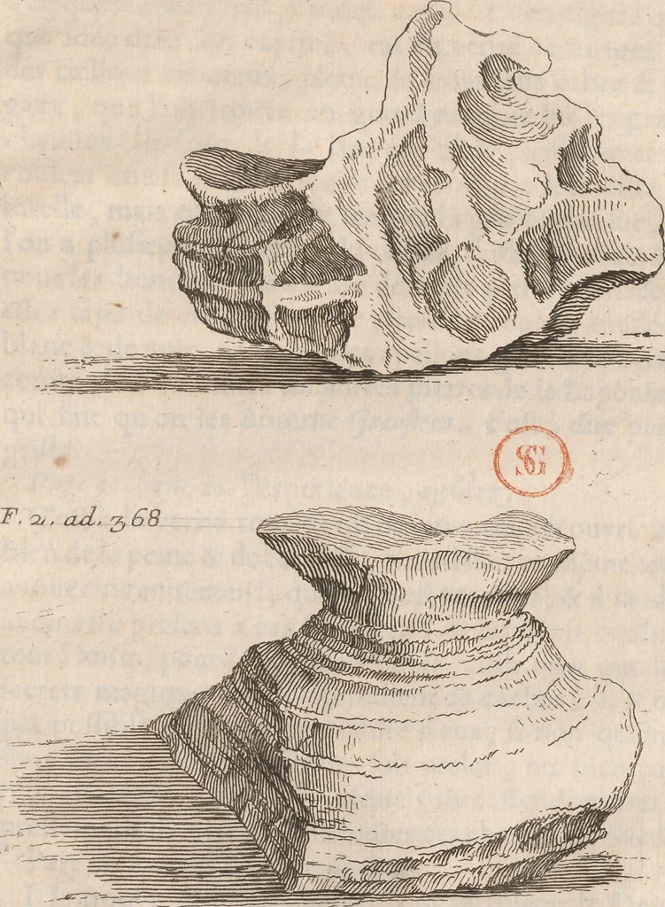 An illustration from Histoire de la Laponie : sa description..., 1678, leaf 432