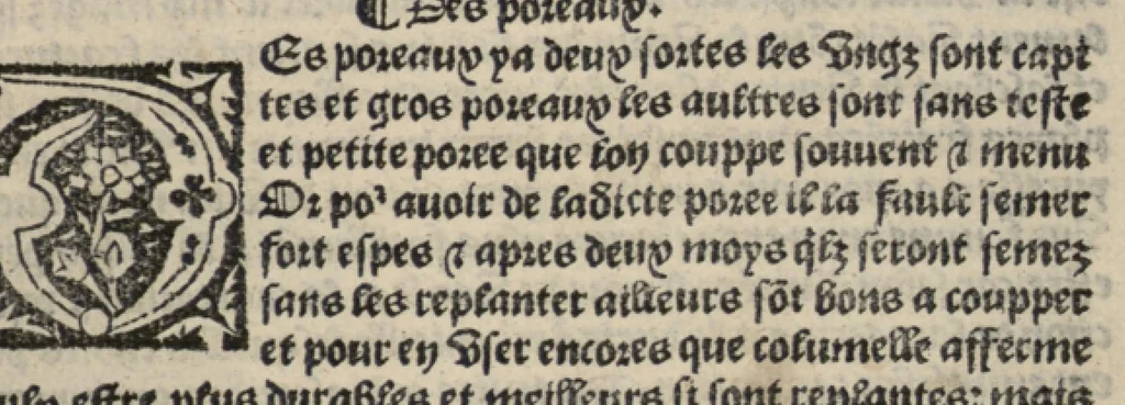 An illustration from Platine en françoys, tres utile et necessaire pour le corps humain, qui traicte de honneste volupte et de toutes viandes et choses que lhomme mange : quelles vertus ont : et en quoy nuysent ou prouffitent au corps humain et comment se doyvent apprester ou appareiller : et de faire a chascune dicelles viandes soit chair ou poisson sa propre sausce : et des proprietez et vertus que ont lesdictes viandes. Et du lieu et place convenable a lhomme pour habiter : et de plusieurs aultres gentillesses parquoy lhomme se peult maintenir en prosperite et sante sans avoir grant indigence davoir aultre medecin sil est homme de raison., 1519, leaf 104