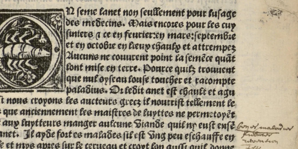 An illustration from Platine en françoys, tres utile et necessaire pour le corps humain, qui traicte de honneste volupte et de toutes viandes et choses que lhomme mange : quelles vertus ont : et en quoy nuysent ou prouffitent au corps humain et comment se doyvent apprester ou appareiller : et de faire a chascune dicelles viandes soit chair ou poisson sa propre sausce : et des proprietez et vertus que ont lesdictes viandes. Et du lieu et place convenable a lhomme pour habiter : et de plusieurs aultres gentillesses parquoy lhomme se peult maintenir en prosperite et sante sans avoir grant indigence davoir aultre medecin sil est homme de raison., 1519, leaf 132