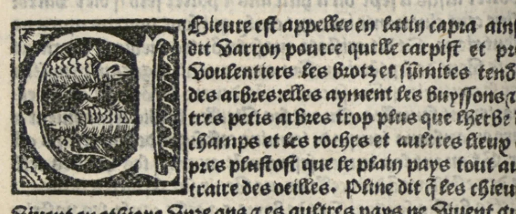 An illustration from Platine en françoys, tres utile et necessaire pour le corps humain, qui traicte de honneste volupte et de toutes viandes et choses que lhomme mange : quelles vertus ont : et en quoy nuysent ou prouffitent au corps humain et comment se doyvent apprester ou appareiller : et de faire a chascune dicelles viandes soit chair ou poisson sa propre sausce : et des proprietez et vertus que ont lesdictes viandes. Et du lieu et place convenable a lhomme pour habiter : et de plusieurs aultres gentillesses parquoy lhomme se peult maintenir en prosperite et sante sans avoir grant indigence davoir aultre medecin sil est homme de raison., 1519, leaf 171