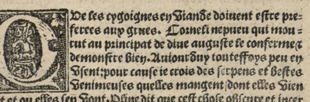 An illustration from Platine en françoys, tres utile et necessaire pour le corps humain, qui traicte de honneste volupte et de toutes viandes et choses que lhomme mange : quelles vertus ont : et en quoy nuysent ou prouffitent au corps humain et comment se doyvent apprester ou appareiller : et de faire a chascune dicelles viandes soit chair ou poisson sa propre sausce : et des proprietez et vertus que ont lesdictes viandes. Et du lieu et place convenable a lhomme pour habiter : et de plusieurs aultres gentillesses parquoy lhomme se peult maintenir en prosperite et sante sans avoir grant indigence davoir aultre medecin sil est homme de raison., 1519, leaf 192