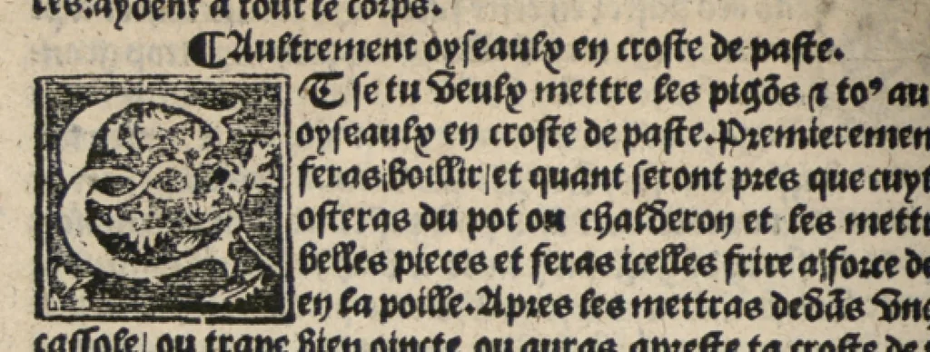An illustration from Platine en françoys, tres utile et necessaire pour le corps humain, qui traicte de honneste volupte et de toutes viandes et choses que lhomme mange : quelles vertus ont : et en quoy nuysent ou prouffitent au corps humain et comment se doyvent apprester ou appareiller : et de faire a chascune dicelles viandes soit chair ou poisson sa propre sausce : et des proprietez et vertus que ont lesdictes viandes. Et du lieu et place convenable a lhomme pour habiter : et de plusieurs aultres gentillesses parquoy lhomme se peult maintenir en prosperite et sante sans avoir grant indigence davoir aultre medecin sil est homme de raison., 1519, leaf 221