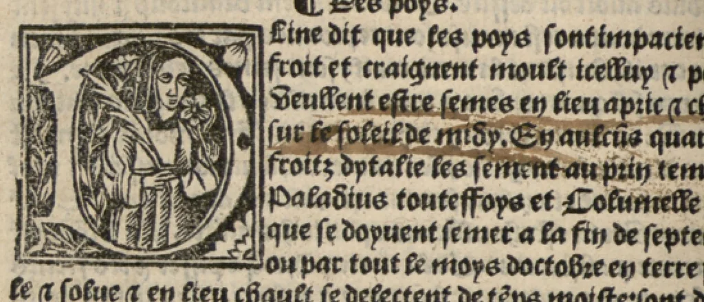 An illustration from Platine en françoys, tres utile et necessaire pour le corps humain, qui traicte de honneste volupte et de toutes viandes et choses que lhomme mange : quelles vertus ont : et en quoy nuysent ou prouffitent au corps humain et comment se doyvent apprester ou appareiller : et de faire a chascune dicelles viandes soit chair ou poisson sa propre sausce : et des proprietez et vertus que ont lesdictes viandes. Et du lieu et place convenable a lhomme pour habiter : et de plusieurs aultres gentillesses parquoy lhomme se peult maintenir en prosperite et sante sans avoir grant indigence davoir aultre medecin sil est homme de raison., 1519, leaf 249