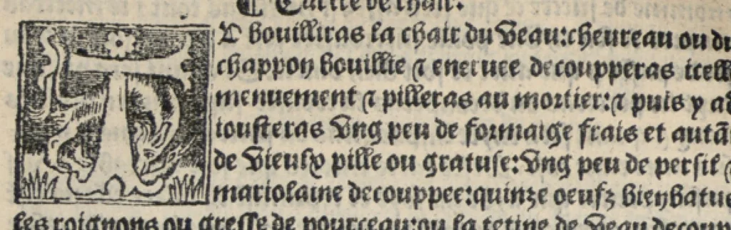 An illustration from Platine en françoys, tres utile et necessaire pour le corps humain, qui traicte de honneste volupte et de toutes viandes et choses que lhomme mange : quelles vertus ont : et en quoy nuysent ou prouffitent au corps humain et comment se doyvent apprester ou appareiller : et de faire a chascune dicelles viandes soit chair ou poisson sa propre sausce : et des proprietez et vertus que ont lesdictes viandes. Et du lieu et place convenable a lhomme pour habiter : et de plusieurs aultres gentillesses parquoy lhomme se peult maintenir en prosperite et sante sans avoir grant indigence davoir aultre medecin sil est homme de raison., 1519, leaf 303