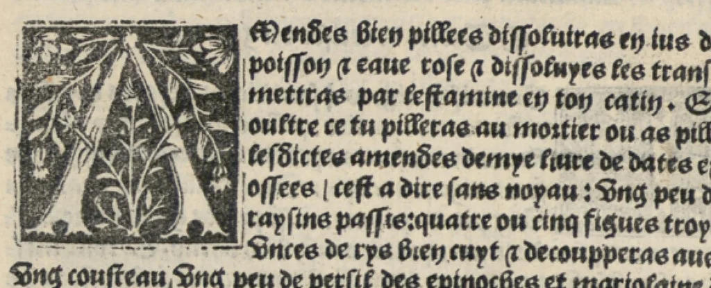 An illustration from Platine en françoys, tres utile et necessaire pour le corps humain, qui traicte de honneste volupte et de toutes viandes et choses que lhomme mange : quelles vertus ont : et en quoy nuysent ou prouffitent au corps humain et comment se doyvent apprester ou appareiller : et de faire a chascune dicelles viandes soit chair ou poisson sa propre sausce : et des proprietez et vertus que ont lesdictes viandes. Et du lieu et place convenable a lhomme pour habiter : et de plusieurs aultres gentillesses parquoy lhomme se peult maintenir en prosperite et sante sans avoir grant indigence davoir aultre medecin sil est homme de raison., 1519, leaf 305