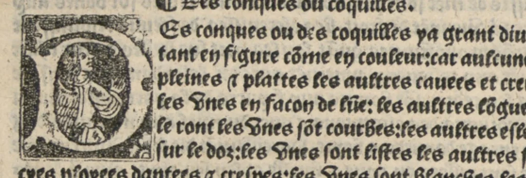 An illustration from Platine en françoys, tres utile et necessaire pour le corps humain, qui traicte de honneste volupte et de toutes viandes et choses que lhomme mange : quelles vertus ont : et en quoy nuysent ou prouffitent au corps humain et comment se doyvent apprester ou appareiller : et de faire a chascune dicelles viandes soit chair ou poisson sa propre sausce : et des proprietez et vertus que ont lesdictes viandes. Et du lieu et place convenable a lhomme pour habiter : et de plusieurs aultres gentillesses parquoy lhomme se peult maintenir en prosperite et sante sans avoir grant indigence davoir aultre medecin sil est homme de raison., 1519, leaf 349