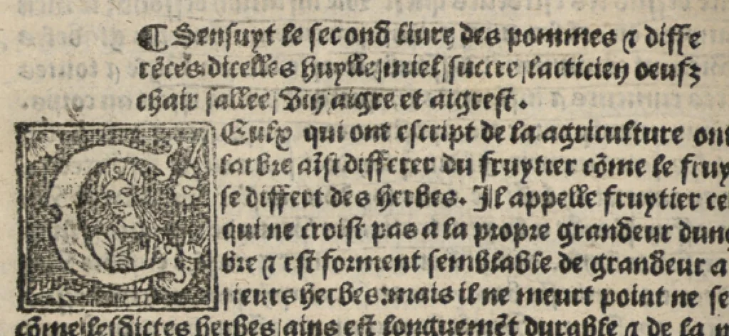 An illustration from Platine en françoys, tres utile et necessaire pour le corps humain, qui traicte de honneste volupte et de toutes viandes et choses que lhomme mange : quelles vertus ont : et en quoy nuysent ou prouffitent au corps humain et comment se doyvent apprester ou appareiller : et de faire a chascune dicelles viandes soit chair ou poisson sa propre sausce : et des proprietez et vertus que ont lesdictes viandes. Et du lieu et place convenable a lhomme pour habiter : et de plusieurs aultres gentillesses parquoy lhomme se peult maintenir en prosperite et sante sans avoir grant indigence davoir aultre medecin sil est homme de raison., 1519, leaf 47