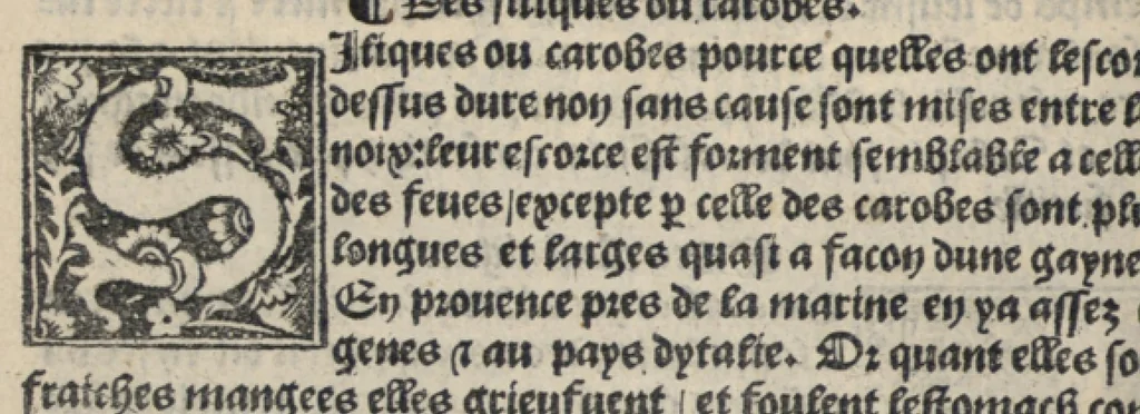 An illustration from Platine en françoys, tres utile et necessaire pour le corps humain, qui traicte de honneste volupte et de toutes viandes et choses que lhomme mange : quelles vertus ont : et en quoy nuysent ou prouffitent au corps humain et comment se doyvent apprester ou appareiller : et de faire a chascune dicelles viandes soit chair ou poisson sa propre sausce : et des proprietez et vertus que ont lesdictes viandes. Et du lieu et place convenable a lhomme pour habiter : et de plusieurs aultres gentillesses parquoy lhomme se peult maintenir en prosperite et sante sans avoir grant indigence davoir aultre medecin sil est homme de raison., 1519, leaf 91