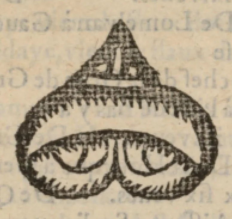 An illustration from Le Grand routier, pilotage et encrage de mer, tant des parties de France, Bretaigne, Angleterre que haultes Alemaignes... revueu et corrigé, 1571, leaf 104