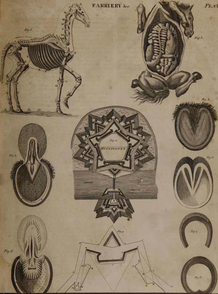 An illustration from A dictionary of arts and sciences (Volume 2), 1815, leaf 894