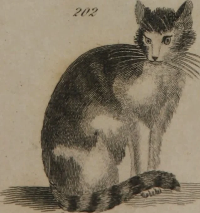 An illustration from A dictionary of arts and sciences (Volume 2), 1815, leaf 896