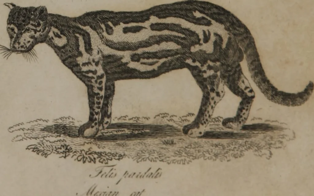 An illustration from A dictionary of arts and sciences (Volume 2), 1815, leaf 896