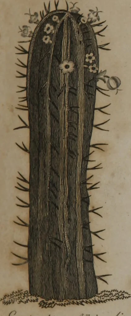 An illustration from A dictionary of arts and sciences (Volume 2), 1815, leaf 898