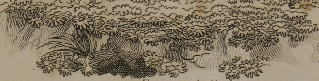 An illustration from A dictionary of arts and sciences (Volume 2), 1815, leaf 898