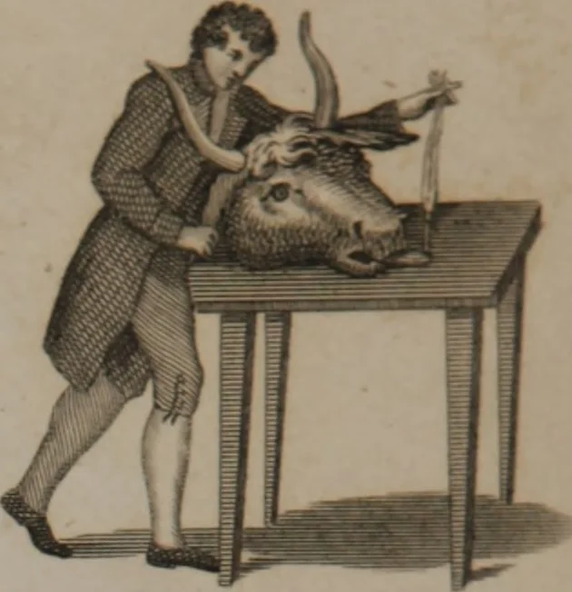 An illustration from A dictionary of arts and sciences (Volume 2), 1815, leaf 906