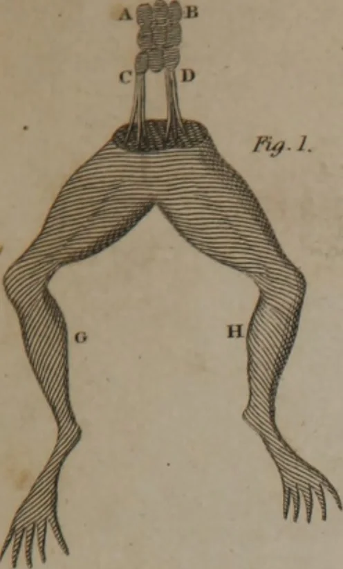 An illustration from A dictionary of arts and sciences (Volume 2), 1815, leaf 906