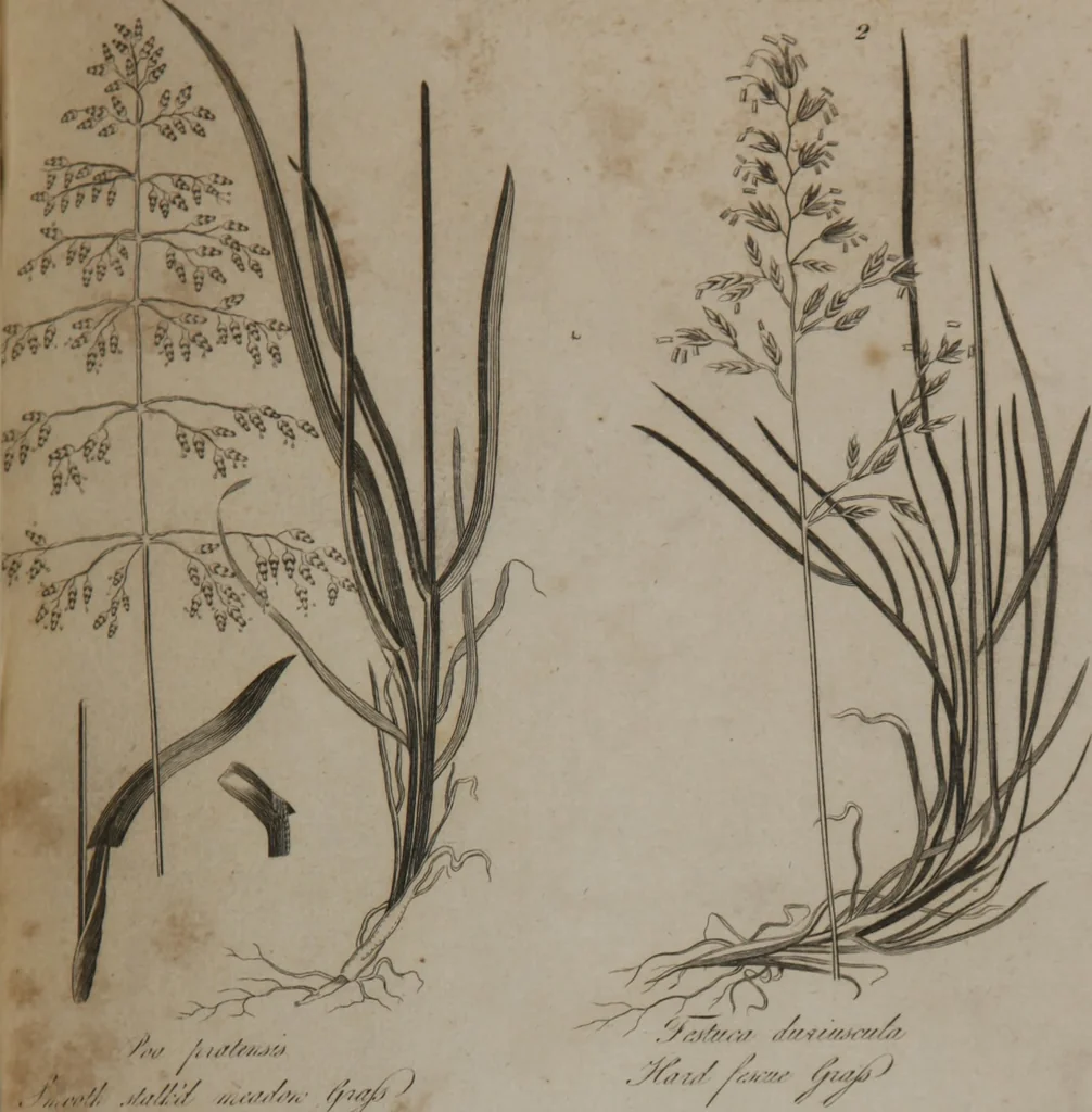 An illustration from A dictionary of arts and sciences (Volume 2), 1815, leaf 920
