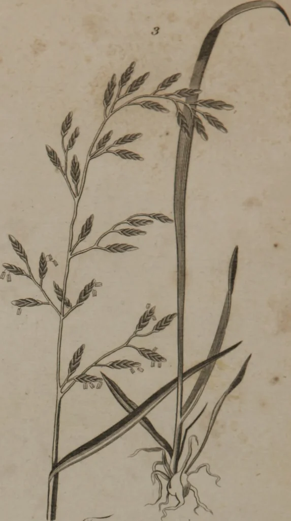 An illustration from A dictionary of arts and sciences (Volume 2), 1815, leaf 920