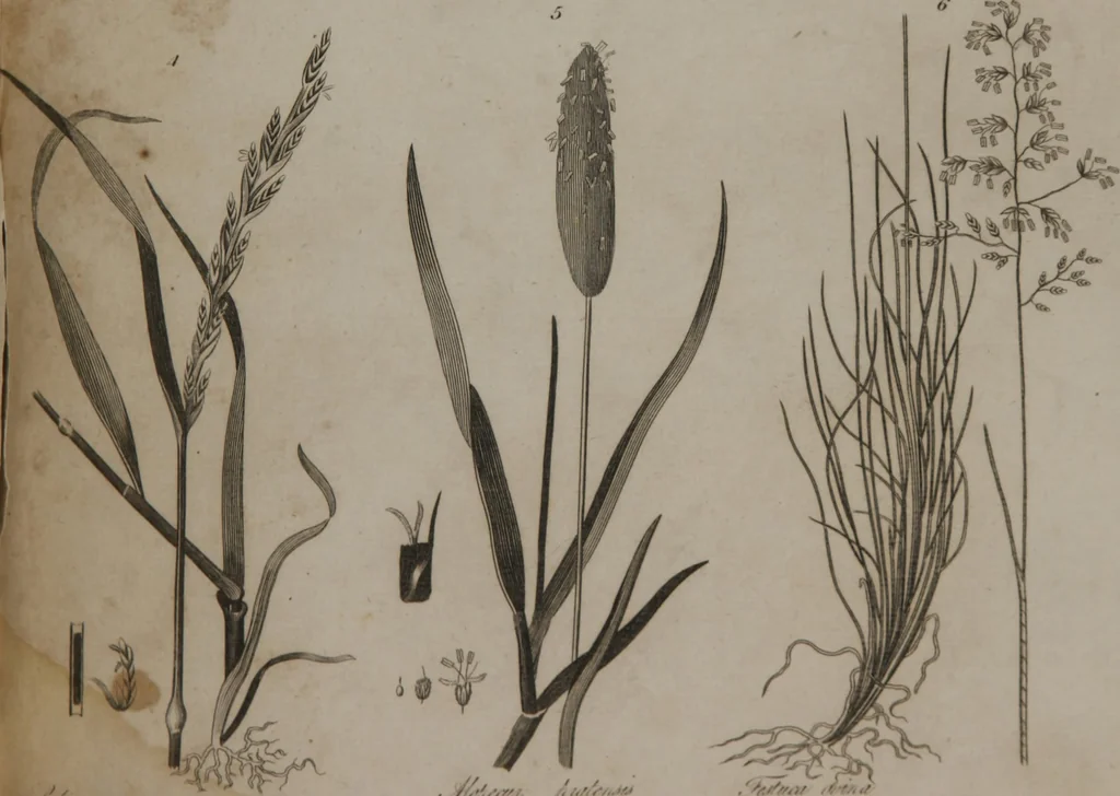 An illustration from A dictionary of arts and sciences (Volume 2), 1815, leaf 920
