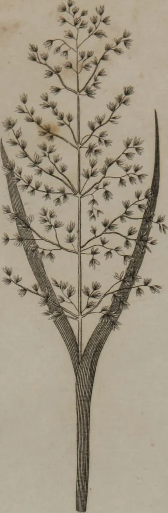 An illustration from A dictionary of arts and sciences (Volume 2), 1815, leaf 922